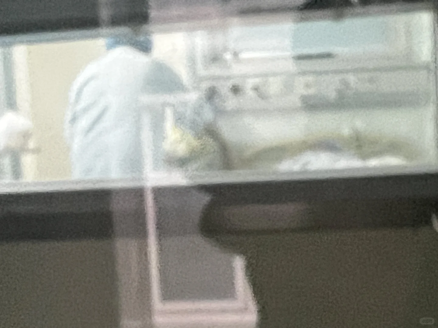 自体造血干细胞移植并发症与助孕服务探讨